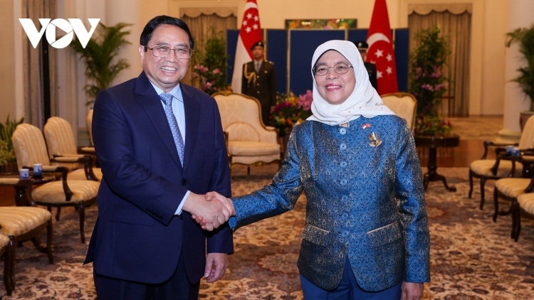 Vietnamese Government chief meets Singaporean President